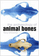 Book cover of: Archaeology of Animal Bones