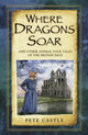 Book cover of: Where Dragons Soar: And Other Animal Folk Tales of the British Isles. By: Castle