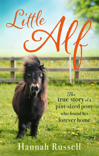 Book cover of: Little Alf. By: Hannah Russell