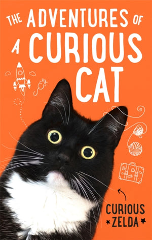 Adventures of a Curious Cat, wit and wisdom from Curious Zelda, purrfect for cats and their humans