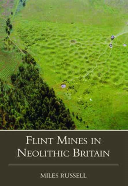 Book cover of: Neolithic Flint Mines in Britain. By: Miles Russell