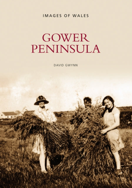 Book cover of: Gower Peninsula. By: David Gwynn