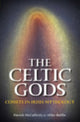 Book cover of: Celtic Gods. By: Patrick McCafferty