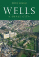 Book cover of: Wells. By: Tony Scrase