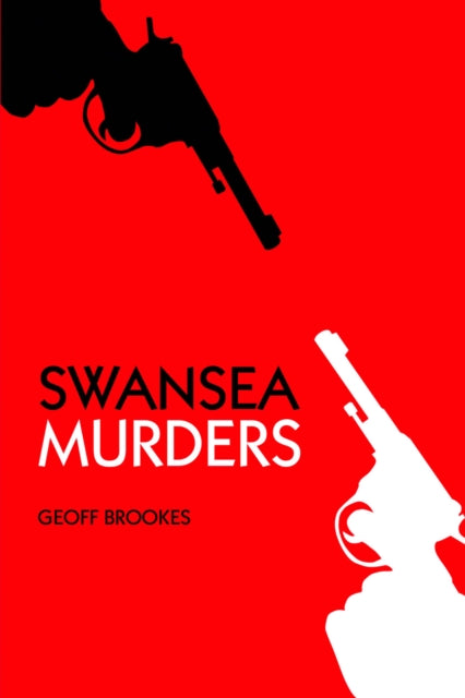 Book cover of: Swansea Murders