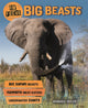 Book cover of: In Focus: Big Beasts. By: Barbara Taylor