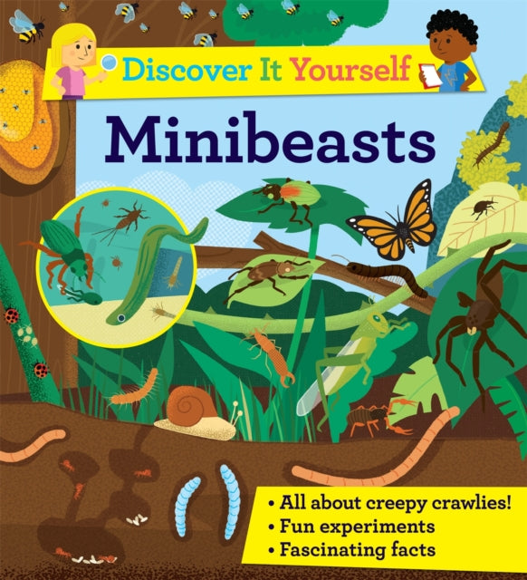 Book cover of: Discover It Yourself: Minibeasts. By: Sally Morgan