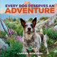 Book cover of: Every Dog Deserves an Adventure. By: Camping with Dogs