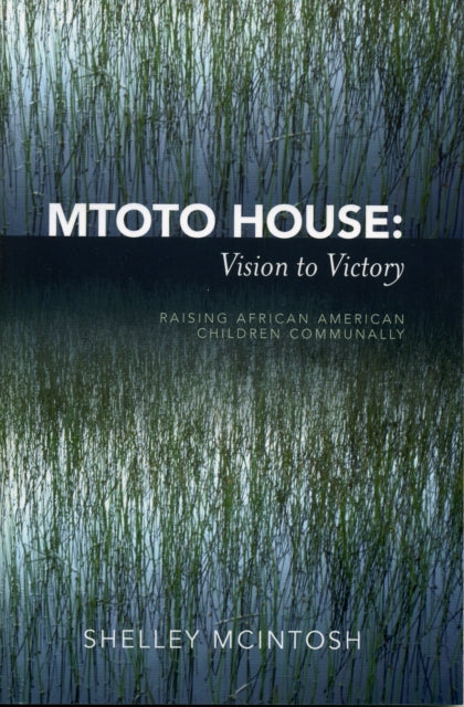Book cover of: Mtoto House: Vision to Victory. By: Shelley McIntosh