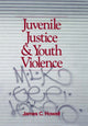 Book cover of: Juvenile Justice and Youth Violence