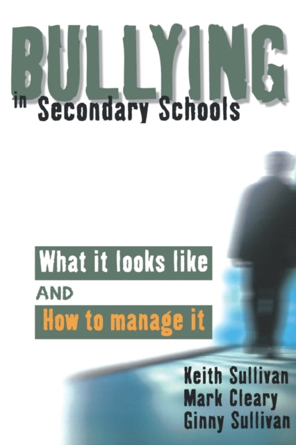 Bullying in Secondary Schools