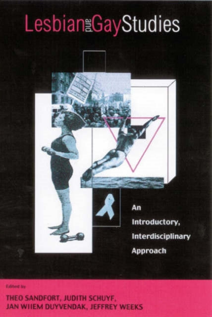 Book cover of: Lesbian and Gay Studies
