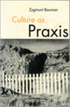 Book cover of: Culture as Praxis