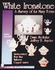 Book cover of: White Ironstone, A Survey of its Many Forms