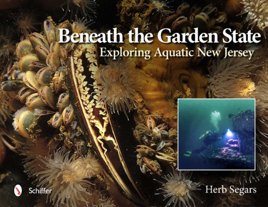 Book cover of: Beneath the Garden State