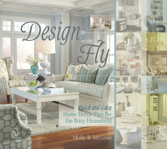 Book cover of: Design on the Fly. By: Molly B. McLean