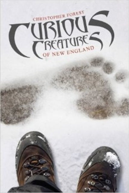 Book cover of: Curious Creatures of New England