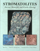 Stromatolites