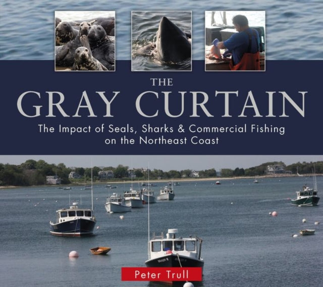 Book cover of: Gray Curtain. By: Peter Trull