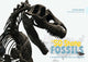 Book cover of: 50 State Fossils. By: Yinan Wang