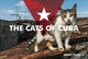 Book cover of: Cats of Cuba. By: Emmy Park