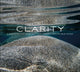 Book cover of: Clarity. By: Dylan Silver