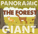 Book cover of: Forest. By: Emmanuelle Grundmann