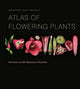 Book cover of: Atlas of Flowering Plants. By: Ingeborg M. Niesler