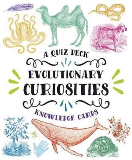 Book cover of: Evolutionary Curiosities Knowledge Cards