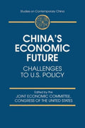 China's Economic Future