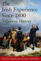 Book cover of: Irish Experience Since 1800: A Concise History. By: Thomas E. Hachey
