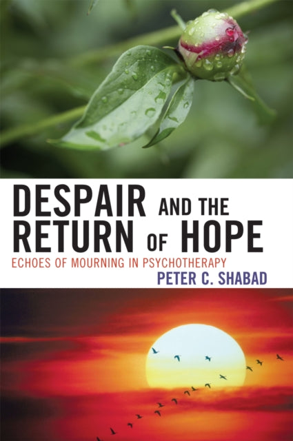Book cover of: Despair and the Return of Hope. By: Shabad Peter