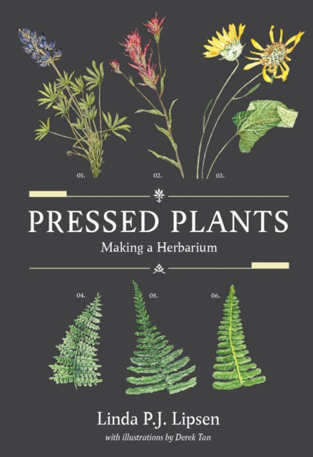 Book cover of: Pressed Plants. By: Linda P. J. Lipsen