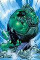 Book cover of: Incredible Hulk: Past Perfect. By: Paul Jenkins