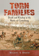 Book cover of: Torn Families. By: Michael A. Dreese