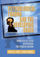 Book cover of: Psychological Trauma and the Developing Brain. By: Phyllis T. Stien