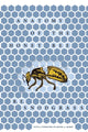 Book cover of: Anatomy of the Honey Bee