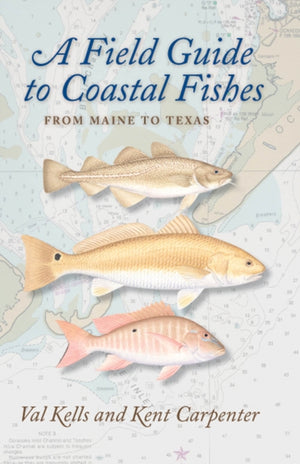 Field Guide to Coastal Fishes