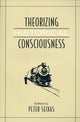 Book cover of: Theorizing Historical Consciousness. By: T. Stephen Henderson