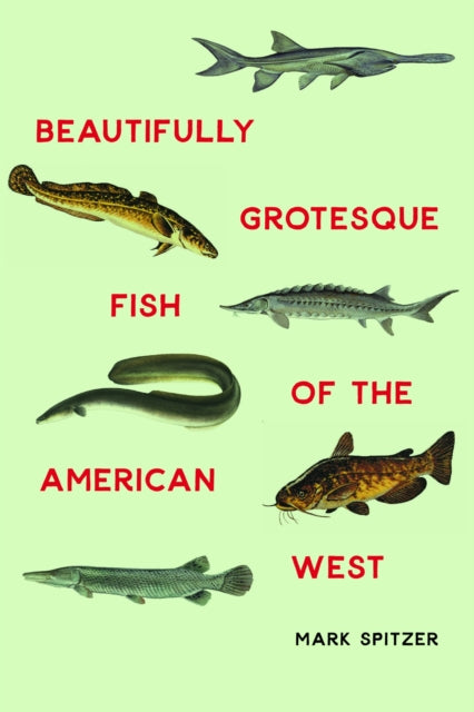 Book cover of: Beautifully Grotesque Fish of the American West. By: Mark Spitzer