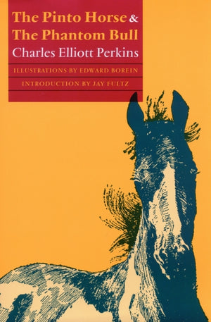 Pinto Horse and the Phantom Bull