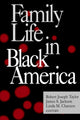 Book cover of: Family Life in Black America