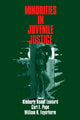 Book cover of: Minorities in Juvenile Justice