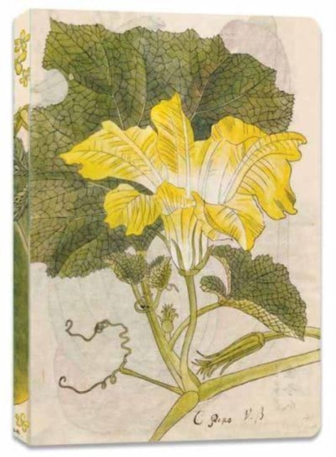 Book cover of: Japanese Squash Blossom Lined Paperback Journal. By: Tuttle Tuttle Studio