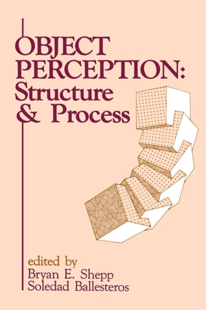 Object Perception