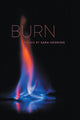 Book cover of: Burn