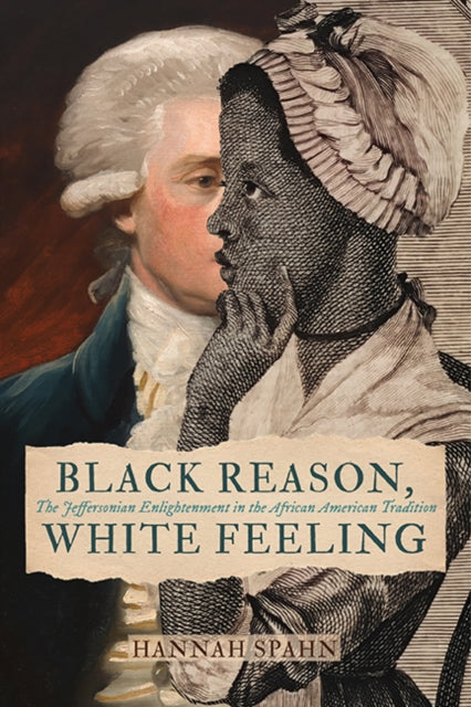 Book cover of: Black Reason, White Feeling. By: Hannah Spahn