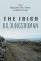 Book cover of: Irish Bildungsroman. By: Gregory Castle