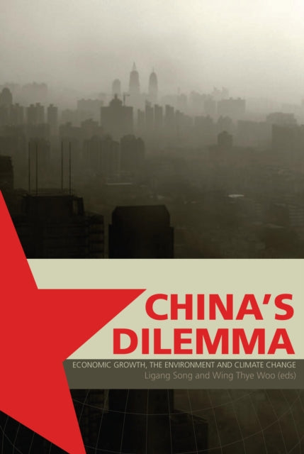 Book cover of: China's Dilemma