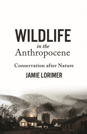 Wildlife in the Anthropocene